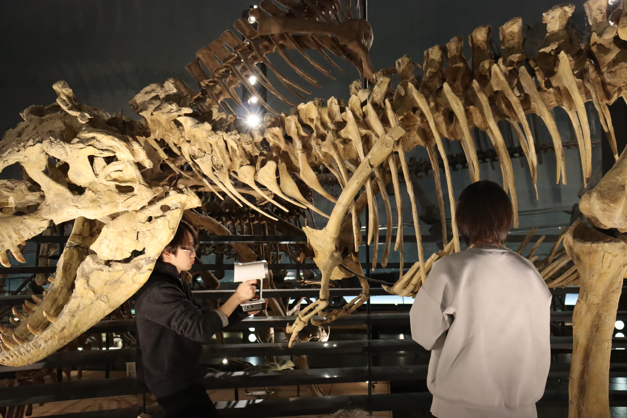 福井県立大学恐竜学部｜恐竜×デジタル 地域資源を生かした独自の学び